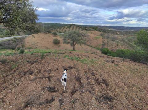 TERRENO COM 55.800 M2 COM POSSIBILIDADE DE CONSTRUÇÃO - ALCARIAS GRANDES - CASTRO MARIM - ALGARVE