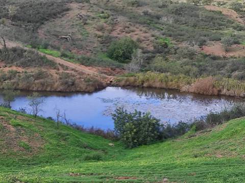 TERRENO COM 55.800 M2 COM POSSIBILIDADE DE CONSTRUÇÃO - ALCARIAS GRANDES - CASTRO MARIM - ALGARVE