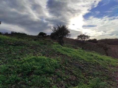 TERRENO COM 55.800 M2 COM POSSIBILIDADE DE CONSTRUÇÃO - ALCARIAS GRANDES - CASTRO MARIM - ALGARVE