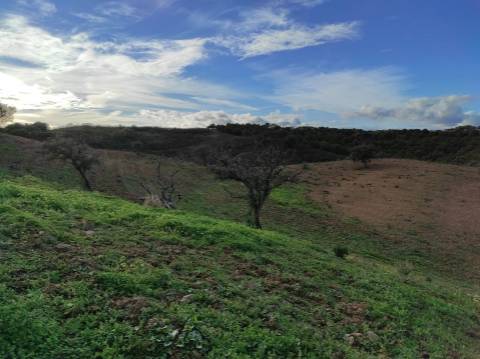 TERRENO COM 55.800 M2 COM POSSIBILIDADE DE CONSTRUÇÃO - ALCARIAS GRANDES - CASTRO MARIM - ALGARVE