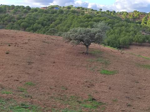 TERRENO COM 55.800 M2 COM POSSIBILIDADE DE CONSTRUÇÃO - ALCARIAS GRANDES - CASTRO MARIM - ALGARVE