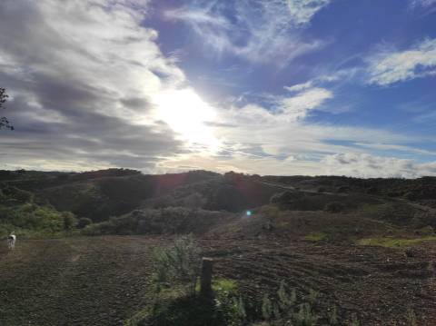 TERRENO COM 55.800 M2 COM POSSIBILIDADE DE CONSTRUÇÃO - ALCARIAS GRANDES - CASTRO MARIM - ALGARVE