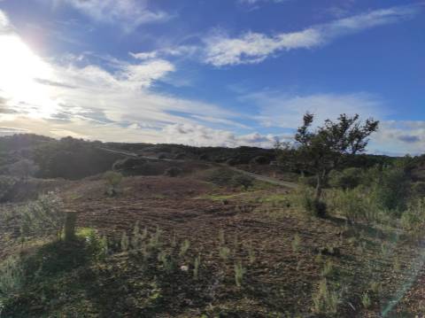 TERRENO COM 55.800 M2 COM POSSIBILIDADE DE CONSTRUÇÃO - ALCARIAS GRANDES - CASTRO MARIM - ALGARVE