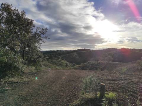 TERRENO COM 55.800 M2 COM POSSIBILIDADE DE CONSTRUÇÃO - ALCARIAS GRANDES - CASTRO MARIM - ALGARVE