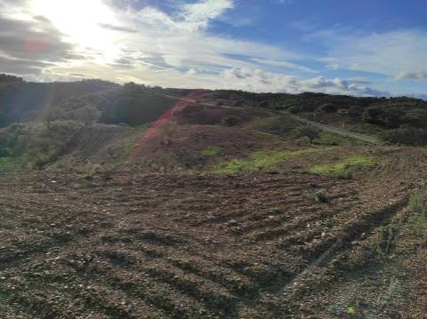 TERRENO COM 55.800 M2 COM POSSIBILIDADE DE CONSTRUÇÃO - ALCARIAS GRANDES - CASTRO MARIM - ALGARVE