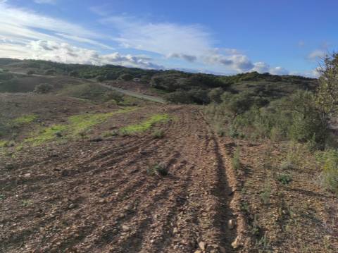 TERRENO COM 55.800 M2 COM POSSIBILIDADE DE CONSTRUÇÃO - ALCARIAS GRANDES - CASTRO MARIM - ALGARVE
