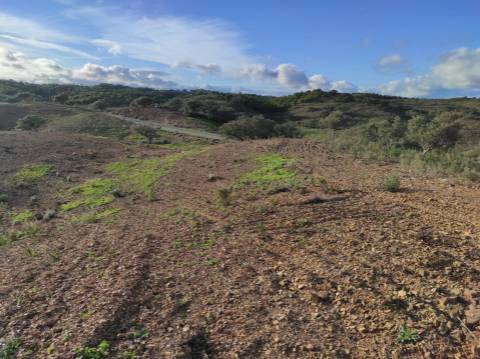 TERRENO COM 55.800 M2 COM POSSIBILIDADE DE CONSTRUÇÃO - ALCARIAS GRANDES - CASTRO MARIM - ALGARVE