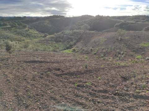 TERRENO COM 55.800 M2 COM POSSIBILIDADE DE CONSTRUÇÃO - ALCARIAS GRANDES - CASTRO MARIM - ALGARVE