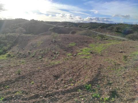 TERRENO COM 55.800 M2 COM POSSIBILIDADE DE CONSTRUÇÃO - ALCARIAS GRANDES - CASTRO MARIM - ALGARVE