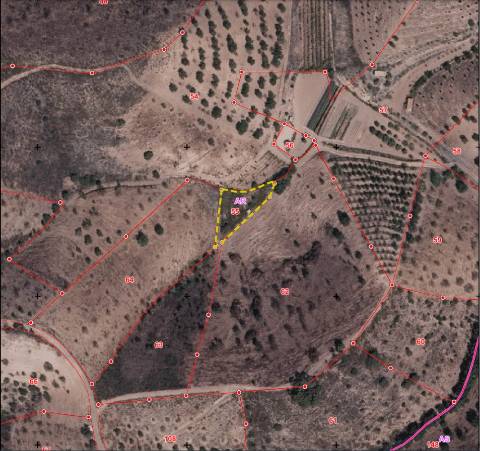 Terreno Rústico - 760m2 - Lavajão - Azinhal - Castro Marim