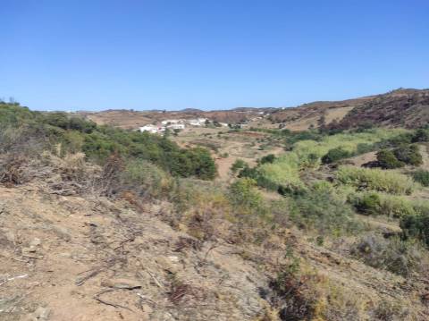 TERRENO RÚSTICO COM 5.550 M2 - COM ÁGUA - CONCEIÇÃO - TAVIRA - ALGARVE