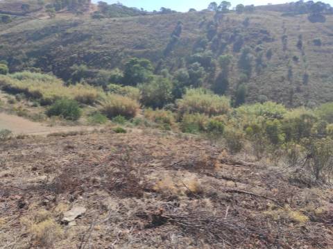 TERRENO RÚSTICO COM 5.550 M2 - COM ÁGUA - CONCEIÇÃO - TAVIRA - ALGARVE