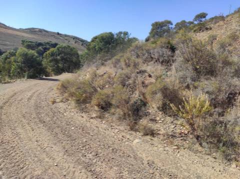 TERRENO RÚSTICO COM 5.550 M2 - COM ÁGUA - CONCEIÇÃO - TAVIRA - ALGARVE