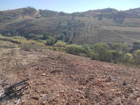 TERRENO RÚSTICO COM 5.550 M2 - COM ÁGUA - CONCEIÇÃO - TAVIRA - ALGARVE