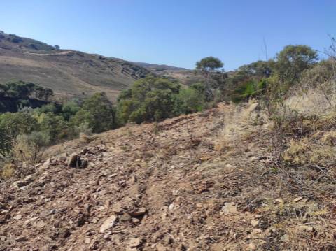 TERRENO RÚSTICO COM 5.550 M2 - COM ÁGUA - CONCEIÇÃO - TAVIRA - ALGARVE