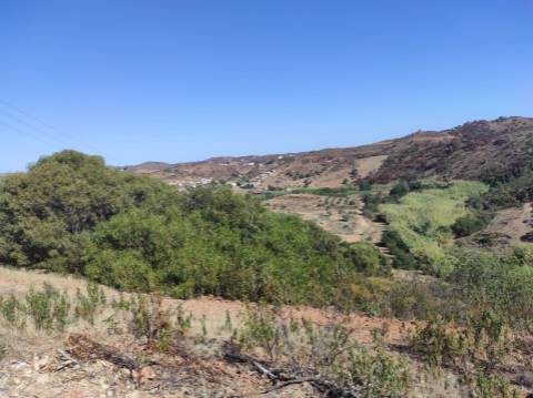 TERRENO RÚSTICO COM 5.550 M2 - COM ÁGUA - CONCEIÇÃO - TAVIRA - ALGARVE