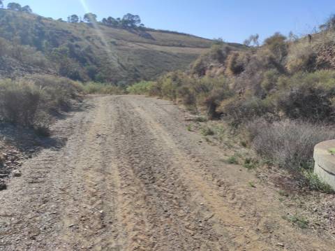 TERRENO RÚSTICO COM 5.550 M2 - COM ÁGUA - CONCEIÇÃO - TAVIRA - ALGARVE