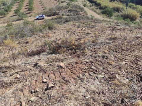 TERRENO RÚSTICO COM 5.550 M2 - COM ÁGUA - CONCEIÇÃO - TAVIRA - ALGARVE