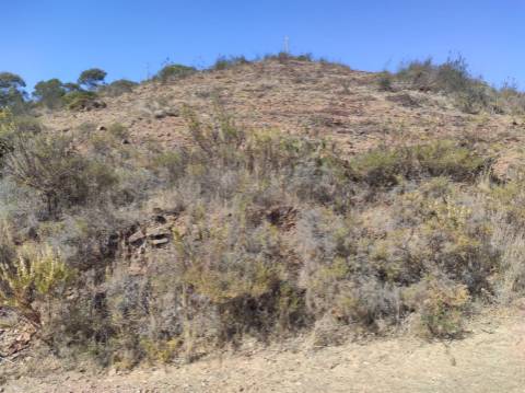 TERRENO RÚSTICO COM 5.550 M2 - COM ÁGUA - CONCEIÇÃO - TAVIRA - ALGARVE