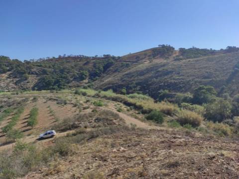 TERRENO RÚSTICO COM 5.550 M2 - COM ÁGUA - CONCEIÇÃO - TAVIRA - ALGARVE