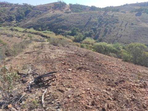 TERRENO RÚSTICO COM 5.550 M2 - COM ÁGUA - CONCEIÇÃO - TAVIRA - ALGARVE