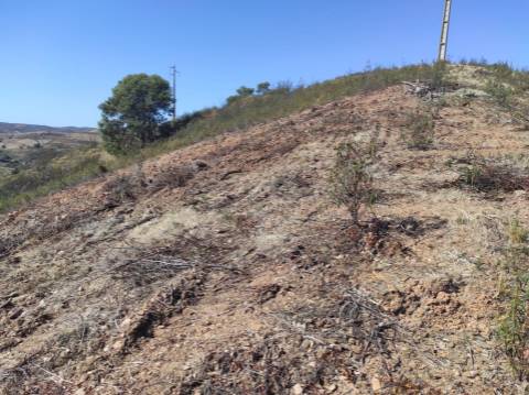 TERRENO RÚSTICO COM 5.550 M2 - COM ÁGUA - CONCEIÇÃO - TAVIRA - ALGARVE