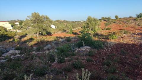 Terreno em Moncarapacho com 20240m2