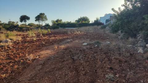 Terreno em Moncarapacho com 20240m2