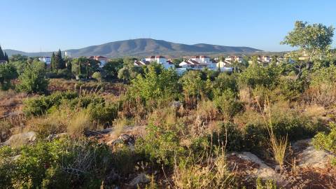 Terreno em Moncarapacho com 20240m2