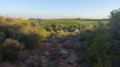 Terreno em Moncarapacho com 20240m2