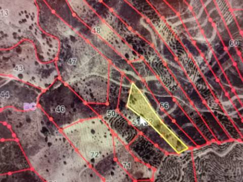 TERRENO RÚSTICO COM 4.960 M2 - COM ÁRVORES - DOIS ACESSO - AZINHAL - CASTRO MARIM - ALGARVE