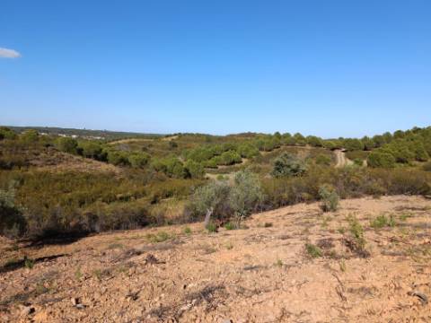 TERRENO RÚSTICO COM 4.960 M2 - COM ÁRVORES - DOIS ACESSO - AZINHAL - CASTRO MARIM - ALGARVE