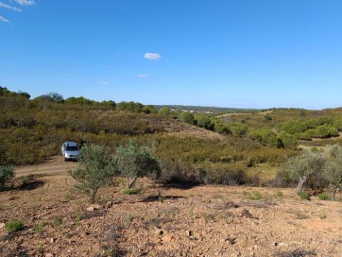 TERRENO RÚSTICO COM 4.960 M2 - COM ÁRVORES - DOIS ACESSO - AZINHAL - CASTRO MARIM - ALGARVE