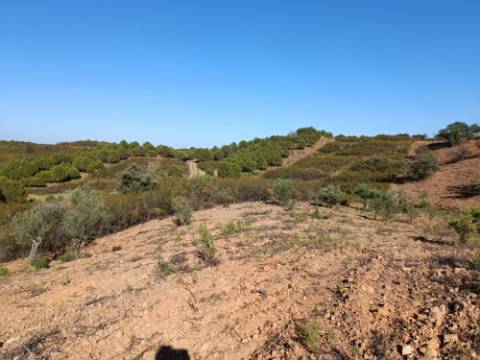 TERRENO RÚSTICO COM 4.960 M2 - COM ÁRVORES - DOIS ACESSO - AZINHAL - CASTRO MARIM - ALGARVE