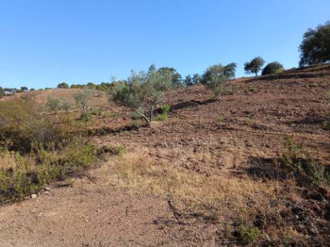 TERRENO RÚSTICO COM 4.960 M2 - COM ÁRVORES - DOIS ACESSO - AZINHAL - CASTRO MARIM - ALGARVE