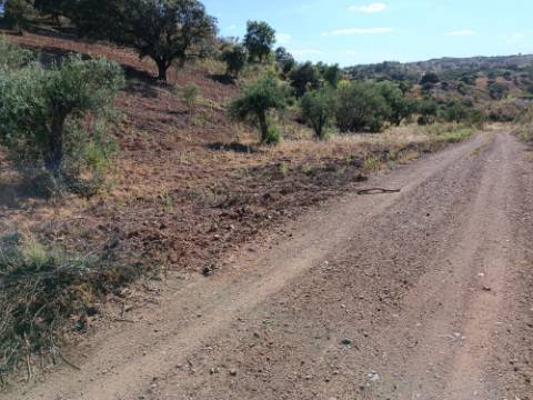 TERRENO RÚSTICO COM 4.960 M2 - COM ÁRVORES - DOIS ACESSO - AZINHAL - CASTRO MARIM - ALGARVE