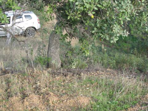 TERRENO RÚSTICO COM 4.960 M2 - COM ÁRVORES - DOIS ACESSO - AZINHAL - CASTRO MARIM - ALGARVE