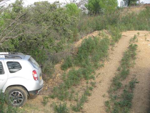 TERRENO RÚSTICO COM 4.960 M2 - COM ÁRVORES - DOIS ACESSO - AZINHAL - CASTRO MARIM - ALGARVE