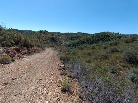TERRENO RUSTICO COM 22.760 M2 - COM POÇO - EM BRENHOSA - ODELEITE - CASTRO MARIM - ALGARVE