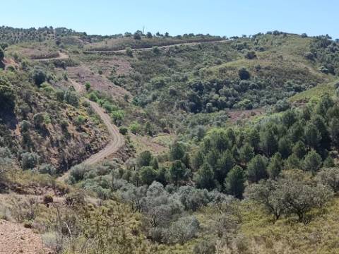 TERRENO RUSTICO COM 22.760 M2 - COM POÇO - EM BRENHOSA - ODELEITE - CASTRO MARIM - ALGARVE