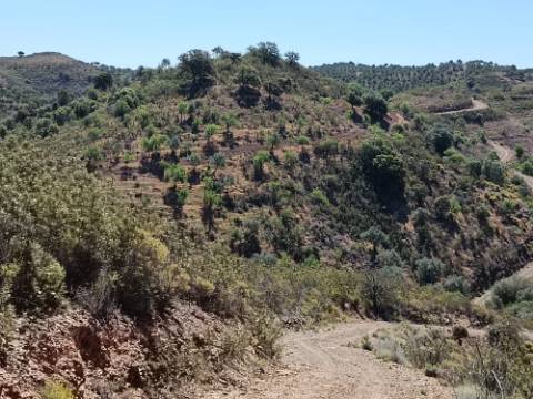 TERRENO RUSTICO COM 22.760 M2 - COM POÇO - EM BRENHOSA - ODELEITE - CASTRO MARIM - ALGARVE