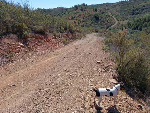 TERRENO RUSTICO COM 22.760 M2 - COM POÇO - EM BRENHOSA - ODELEITE - CASTRO MARIM - ALGARVE