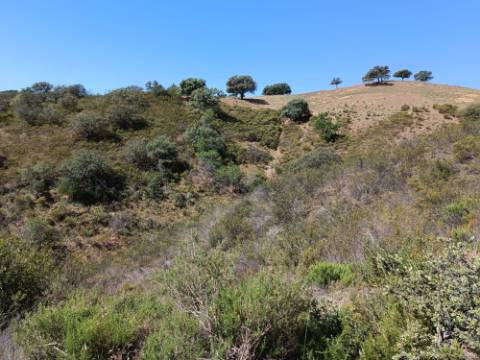 TERRENO RUSTICO COM 22.760 M2 - COM POÇO - EM BRENHOSA - ODELEITE - CASTRO MARIM - ALGARVE