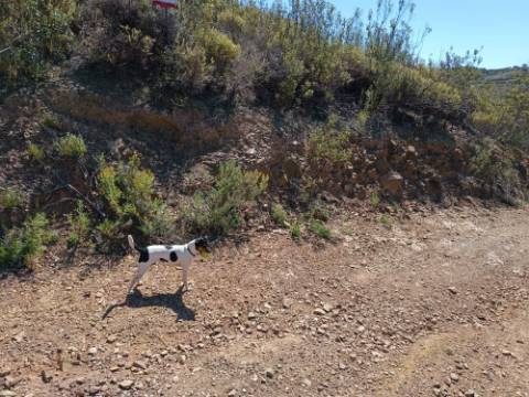 TERRENO RUSTICO COM 22.760 M2 - COM POÇO - EM BRENHOSA - ODELEITE - CASTRO MARIM - ALGARVE