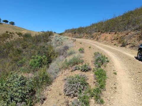 TERRENO RUSTICO COM 22.760 M2 - COM POÇO - EM BRENHOSA - ODELEITE - CASTRO MARIM - ALGARVE