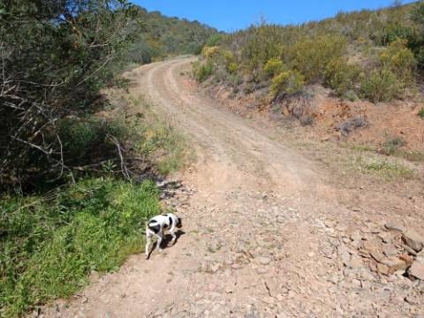TERRENO RUSTICO COM 22.760 M2 - COM POÇO - EM BRENHOSA - ODELEITE - CASTRO MARIM - ALGARVE