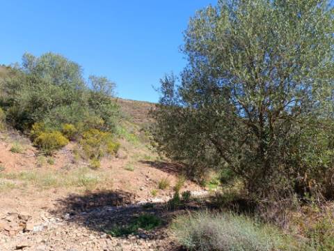 TERRENO RUSTICO COM 22.760 M2 - COM POÇO - EM BRENHOSA - ODELEITE - CASTRO MARIM - ALGARVE