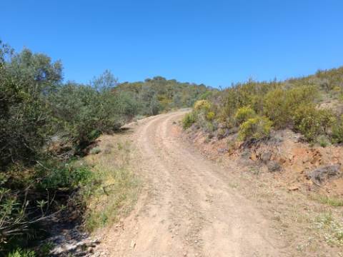 TERRENO RUSTICO COM 22.760 M2 - COM POÇO - EM BRENHOSA - ODELEITE - CASTRO MARIM - ALGARVE