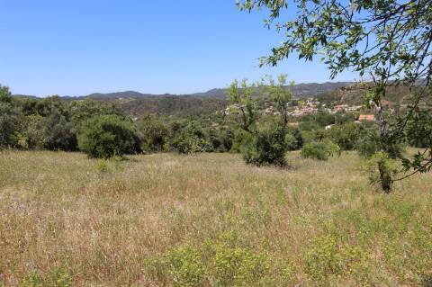 Terreno rústico em São Brás de Alportel