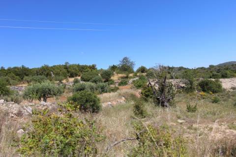 Terreno rústico em São Brás de Alportel